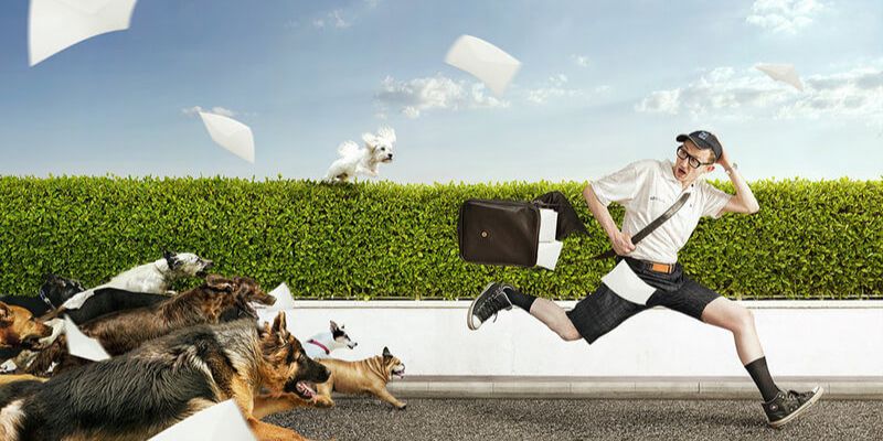 Bí quyết đánh lô đề khi nằm mơ thấy chó cắn trên VN88 4 Một vài thủ thuật đơn giản mà bạn có thể áp dụng khi nằm mơ thấy chó cắn